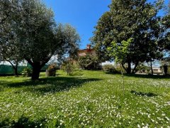 Villa Indipendente con Lussureggiante Parco - 2
