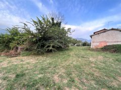 Panoramic Farmhouse with Olive Grove - 16