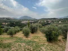 Panoramic Farmhouse with Olive Grove - 14