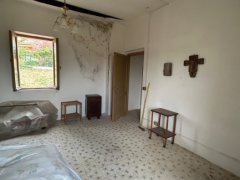 Panoramic Farmhouse with Olive Grove - 7