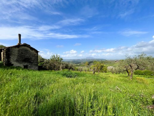 Land with Portion of Casaletto - 1