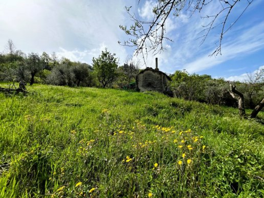 Land with Portion of Casaletto - 4