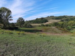 6-hectare farmland - 2