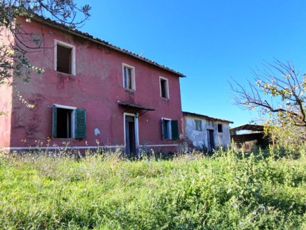 Panoramic Farmhouse with Olive Grove