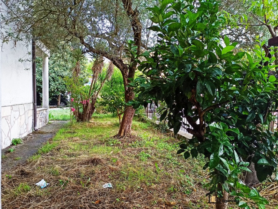 Appartamento FORANO vendita  Gavignano  Esperienza Immobiliare