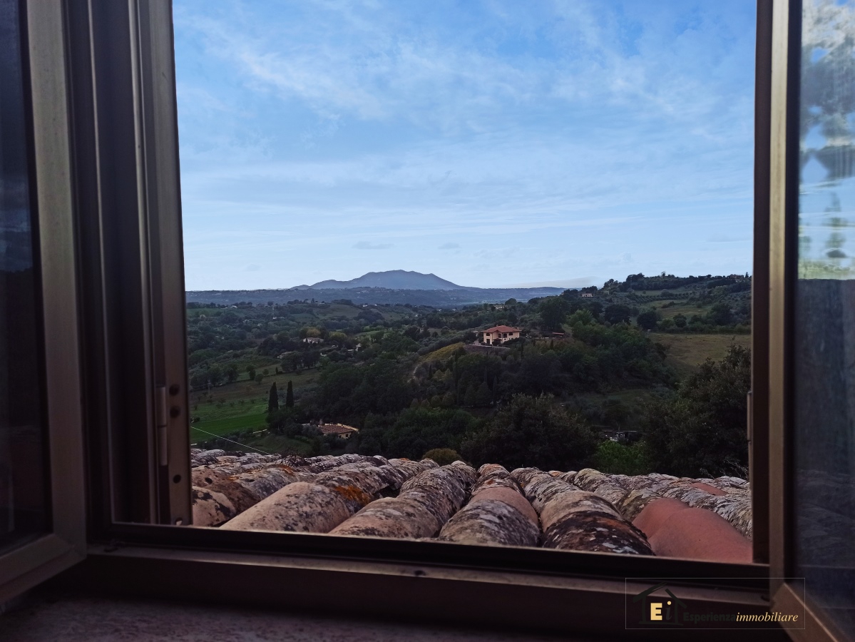 Appartamento POGGIO MIRTETO vendita  Poggio Mirteto  Esperienza Immobiliare
