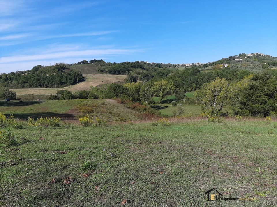 Terreno Agricolo in Vendita Collevecchio