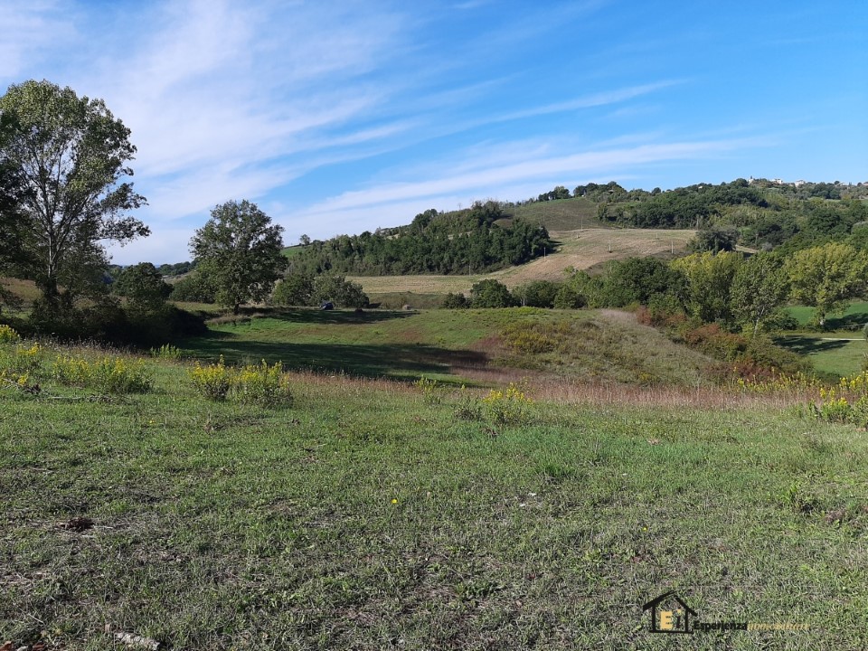 Terreno Agricolo Collevecchio RI1156085