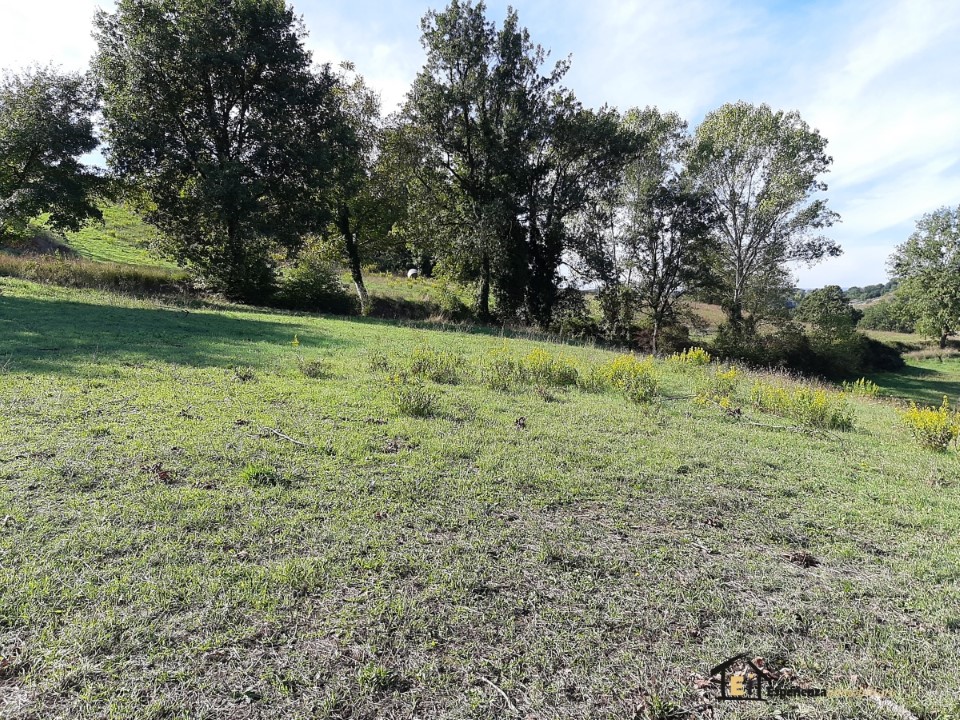 Terreno Agricolo Collevecchio RI1156085