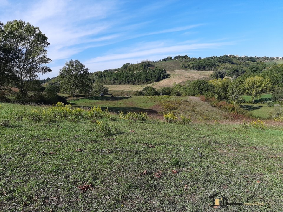 Terreno Agricolo Collevecchio RI1156085