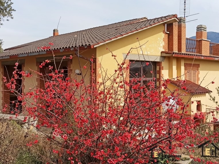 Villa singola Torri in Sabina RI1310394