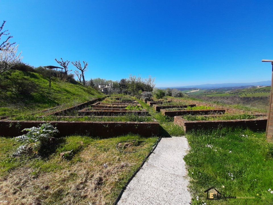 Vendita Villa singola Collevecchio