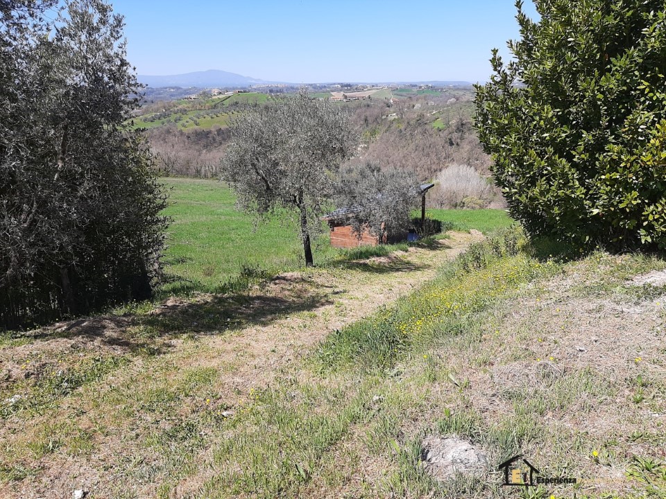 Vendita Villa singola Collevecchio